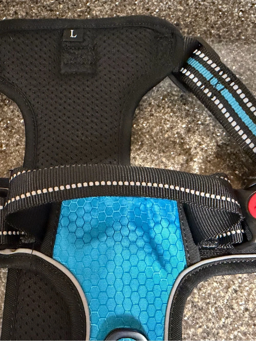 NWT no- pull Dog harness and leash (Large) in blue. Never used. 5 ft. Leash